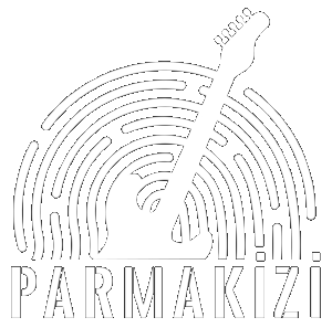 Parmak İzi